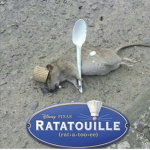 The Valid Rats