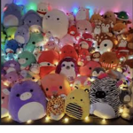 The SQUISHMALLOW GROUP!!!