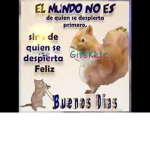los pollitos guapos
