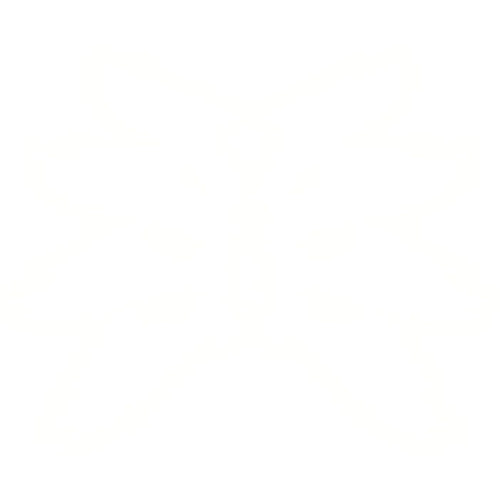 White Angel Emissive Wings