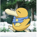 psyduck iscool