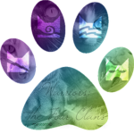 Erin Hunter Fan Club!