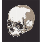 Skullz Group