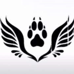 Animals Live Matter <3