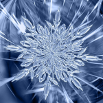 crystal chilli