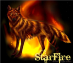 StarFire Pack