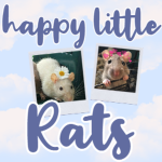 Happy Little Rats