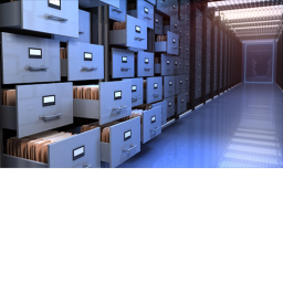 the secret archive of economy