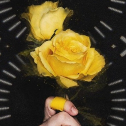 ✦
