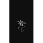 Ysamukaxz
