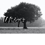 •.• u k i y o •.•