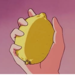 pink lemons~+~
