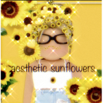 •Aesthetic_Sunflowers•