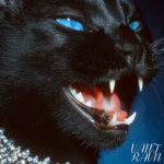 VANT RAVN