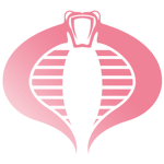 反抗 bb 正義群