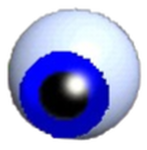 Venguim Network
