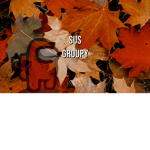 sus groupy