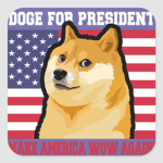 doge for president.