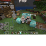 Cc’s Minecraft Group