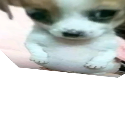Dog nextbot