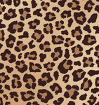 OliviaEleven_Games