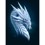 The Cold Ice Dragons
