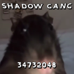 *_DARK_GANG_*