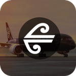 Indigo Airline