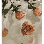 Bubble roses<3