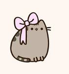 •pusheen cat•