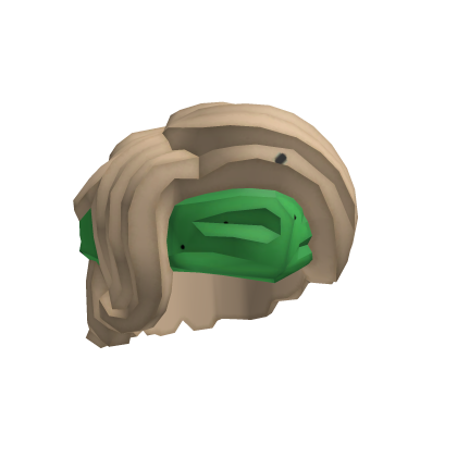 Lloyd Hair Roblox item