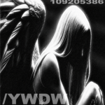 /ywdw