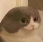 SamueleBlox