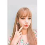 *~Lisa Fan Group~*