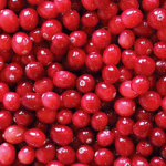 Elite Cranberries