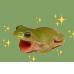 Thefrogoos