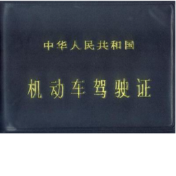 CD-PLA CHENGDU MILITARY BASE ARMY DRIVING SCHOOL