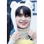 Stray kids fan home