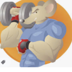Rats United Big Boi’s Gym