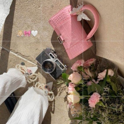 ˗ˏˋ꒰ 🌸 ꒱