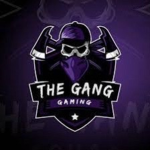 The Gang Gamers group