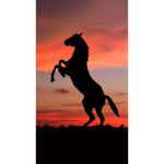 <Dawn Song Stables>