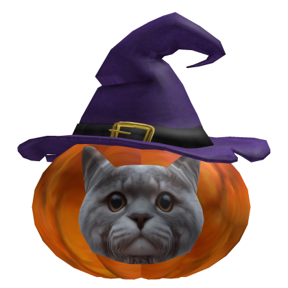 Pumpkin Cat