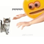 CATS_meowmeow,eow,meow