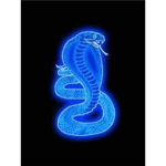 Detroit Cobras