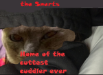 the snerts