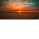 Senjaaaaaaaaaaaaaaaaaaaaaaaaa