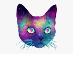 #Galaxy sqad