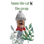 The cats play room