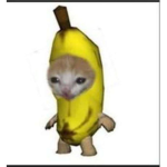 Cat banana club :D